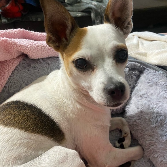 Meet your Posher, Tk - Picture 2 of 7